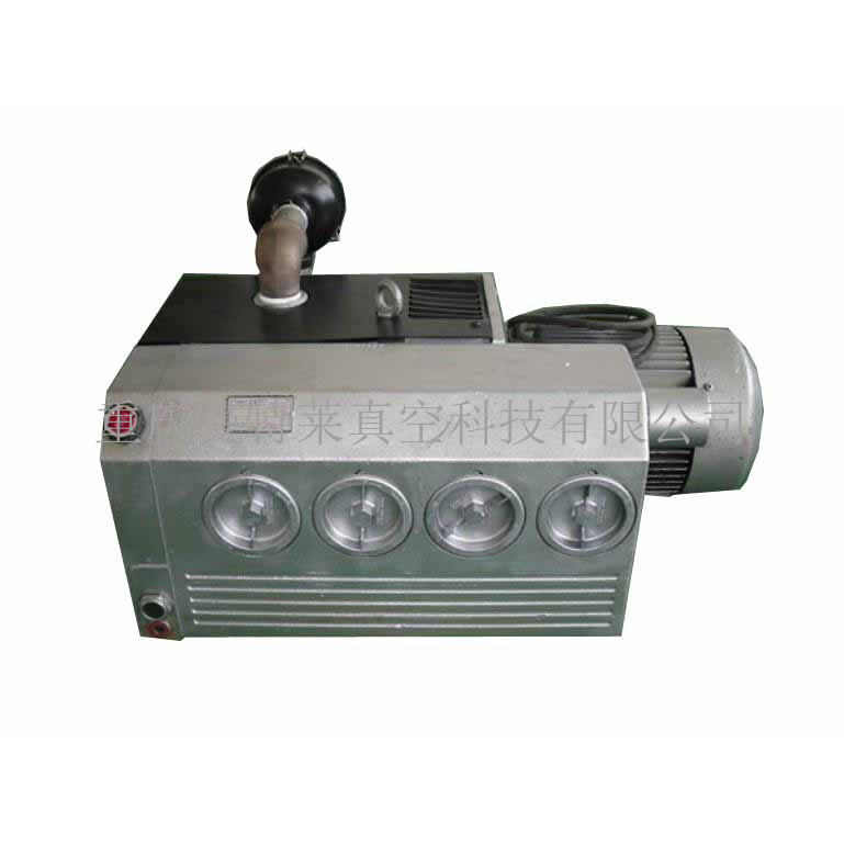 裡(lǐ)其樂(yuè)(RIETSCHLE)真空(kōng)泵維修